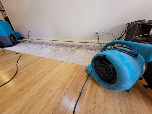 Professional Water Extraction technician working in Flushing, MI